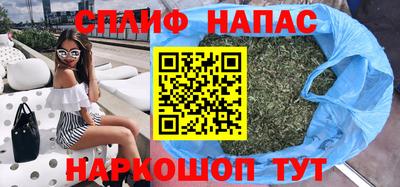МДПВ Можга
