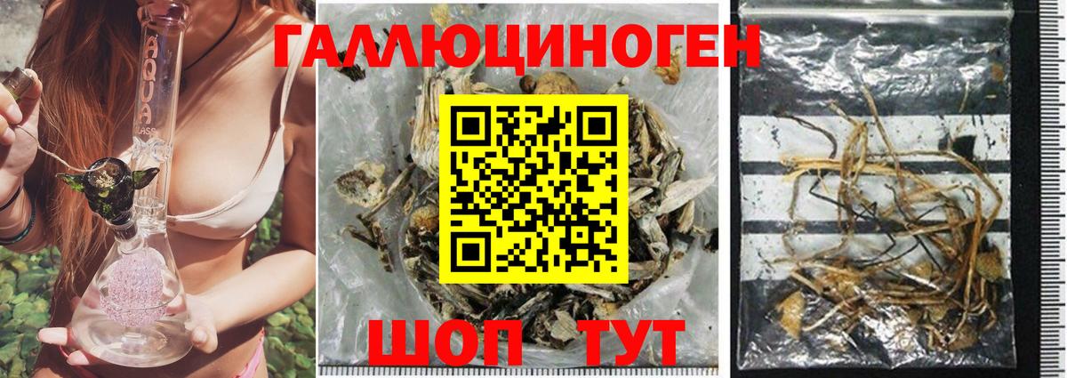Псилоцибиновые грибы Psilocybine cubensis  наркошоп  Лангепас  Псилоцибиновые грибы мицелий  Вход с VPN 